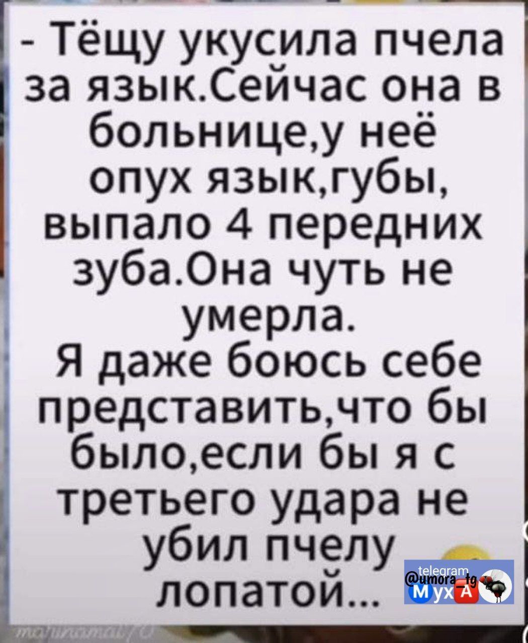_ _ _ ___ __ Тёщу укусила пчела за языкСейчас она в больницеу неё опух языкгубы выпало 4 передних зуба0на чуть не умерла Я даже боюсь себе представитьчто бы былоесли бы я с третьбего удара не у ил пчелу лопатой 11 771