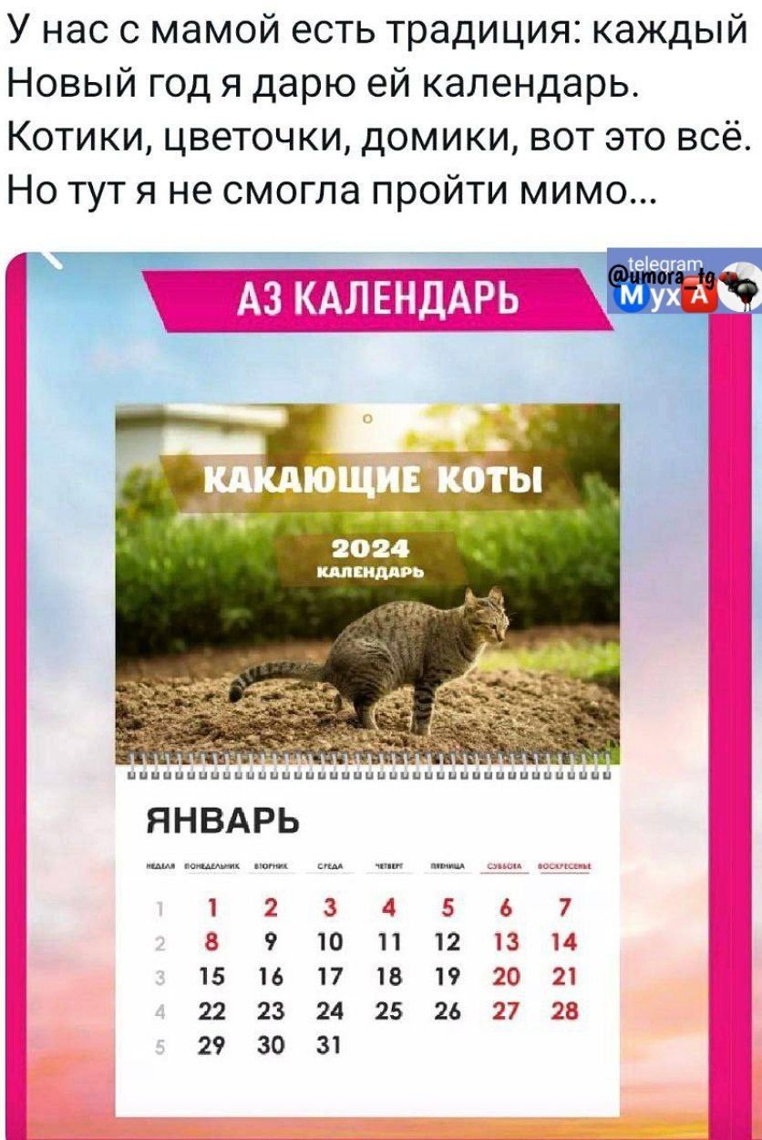 У нас с мамой есть традиция каждый Новый год я дарю ей календарь Котики цветочки домики вот это всё Но тут я не смогла пройти мимо ЯНВАРЬ 2 в 9 т 15 и 17 12 23 14 27 30 З 4 20 и 27 за