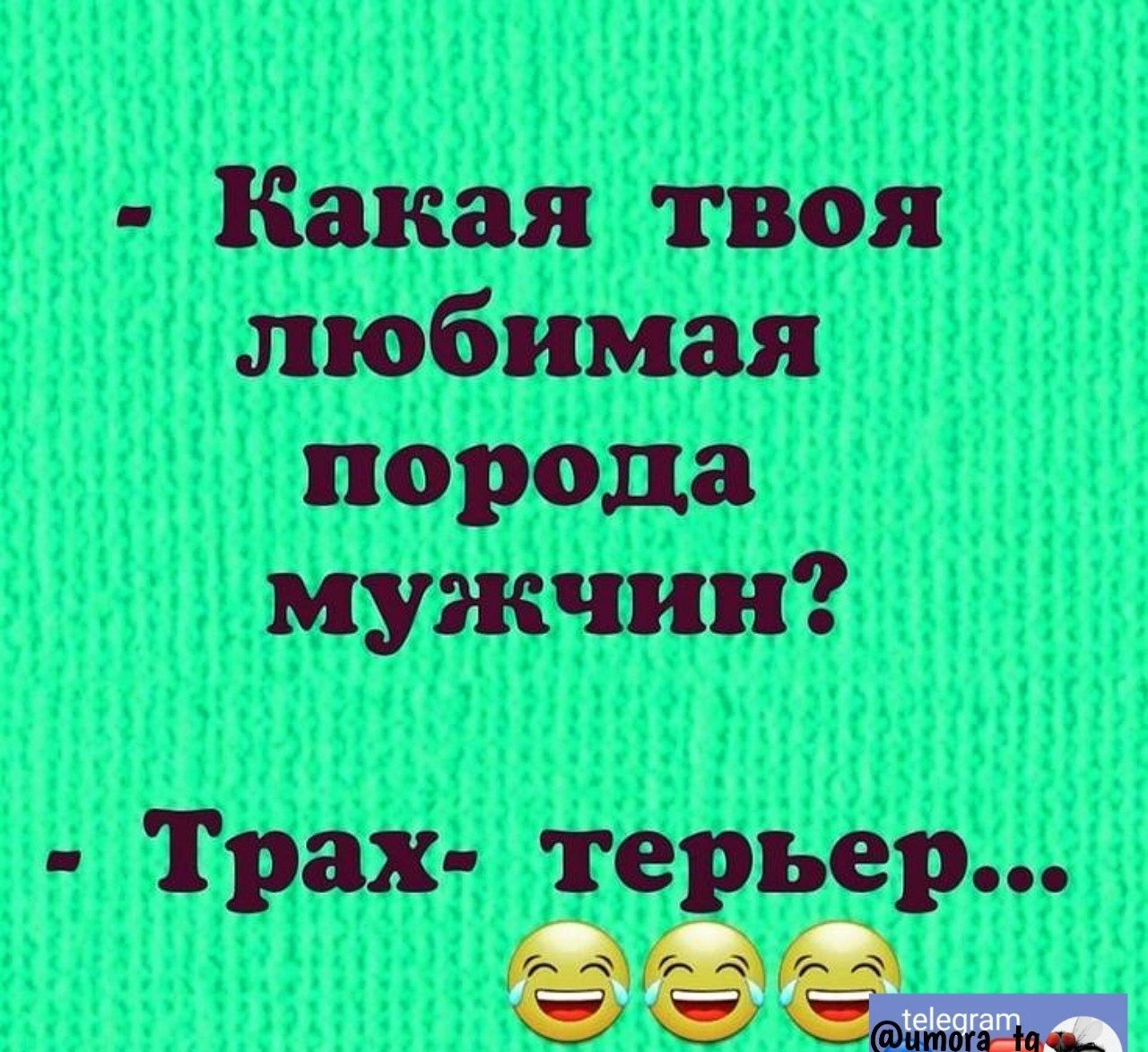 твоя любимая порода мужчин ЁЁщ