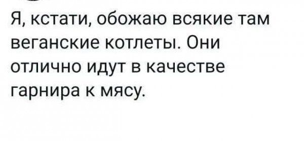 Я кстати обожаю всякие там веганские котлеты Они отлично идут в качестве гарнира к мясу