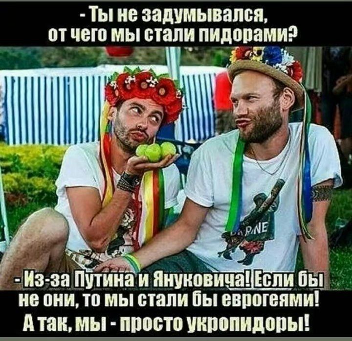 ТЫ не задумывался от чет МЫ стали ПИДППЯМИ и за утюги Януковича Если вы не они то мы стали бы внпогвями Атак МЫ ШШШ ПИПППИДБПЫ