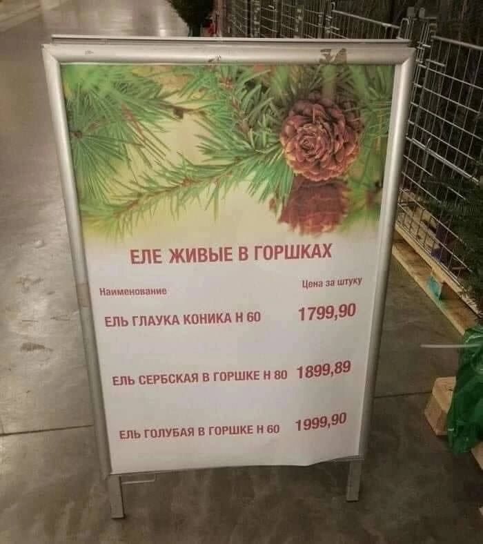 ЕПЕ ЖИВЫЕ В ГПРШКДХ 179990 159939 ЕНЬ там и тым п 199957