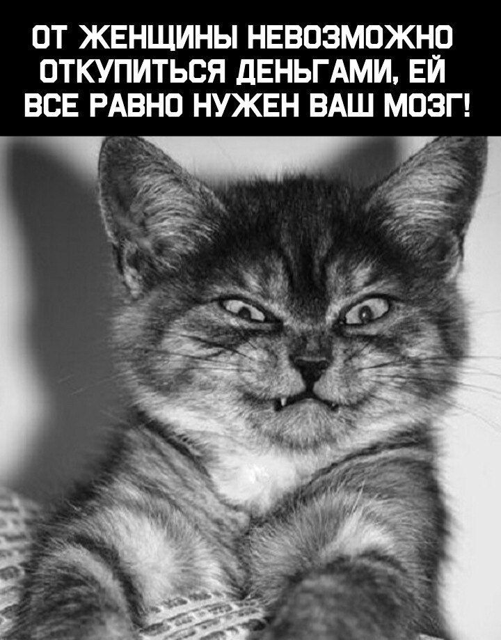 ОТ ЖЕНЩИНЫ НЕВОЗМОЖНО ОТКУПИТЬСЯ дЕНЬГАМИ ЕЙ ВСЕ РАВНО НУЖЕН БАШ МОЗГ