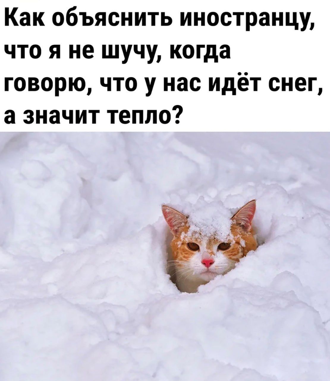 Как объяснить иностранцу что я не шучу когда говорю что у нас идёт снег а значит тепло 1