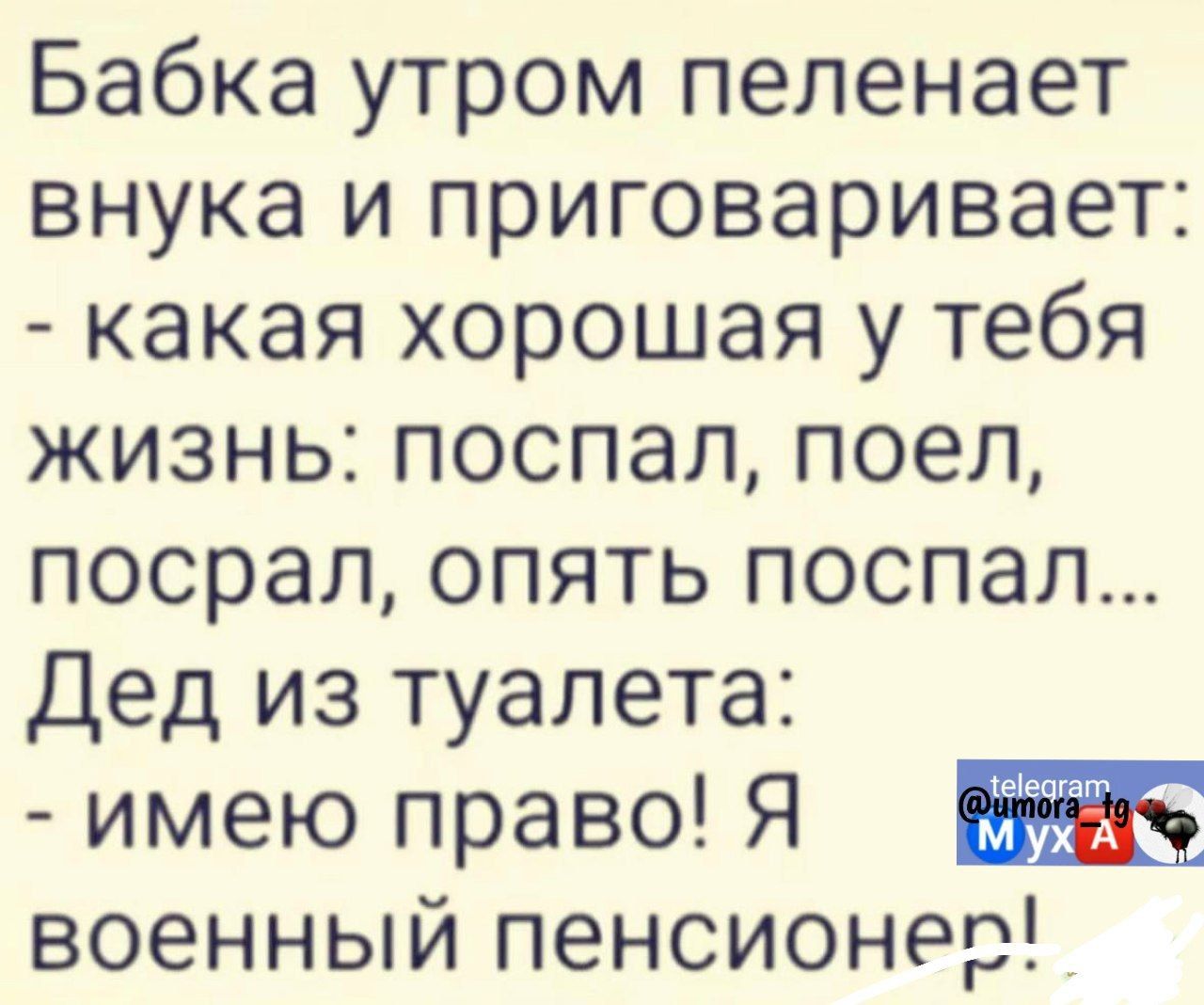 Бабка утром пепенает внука и приговаривает какая хорошая у тебя жизнь поспал поел посрал опять поспал Дед из туалета имею право Я военный пенсионер