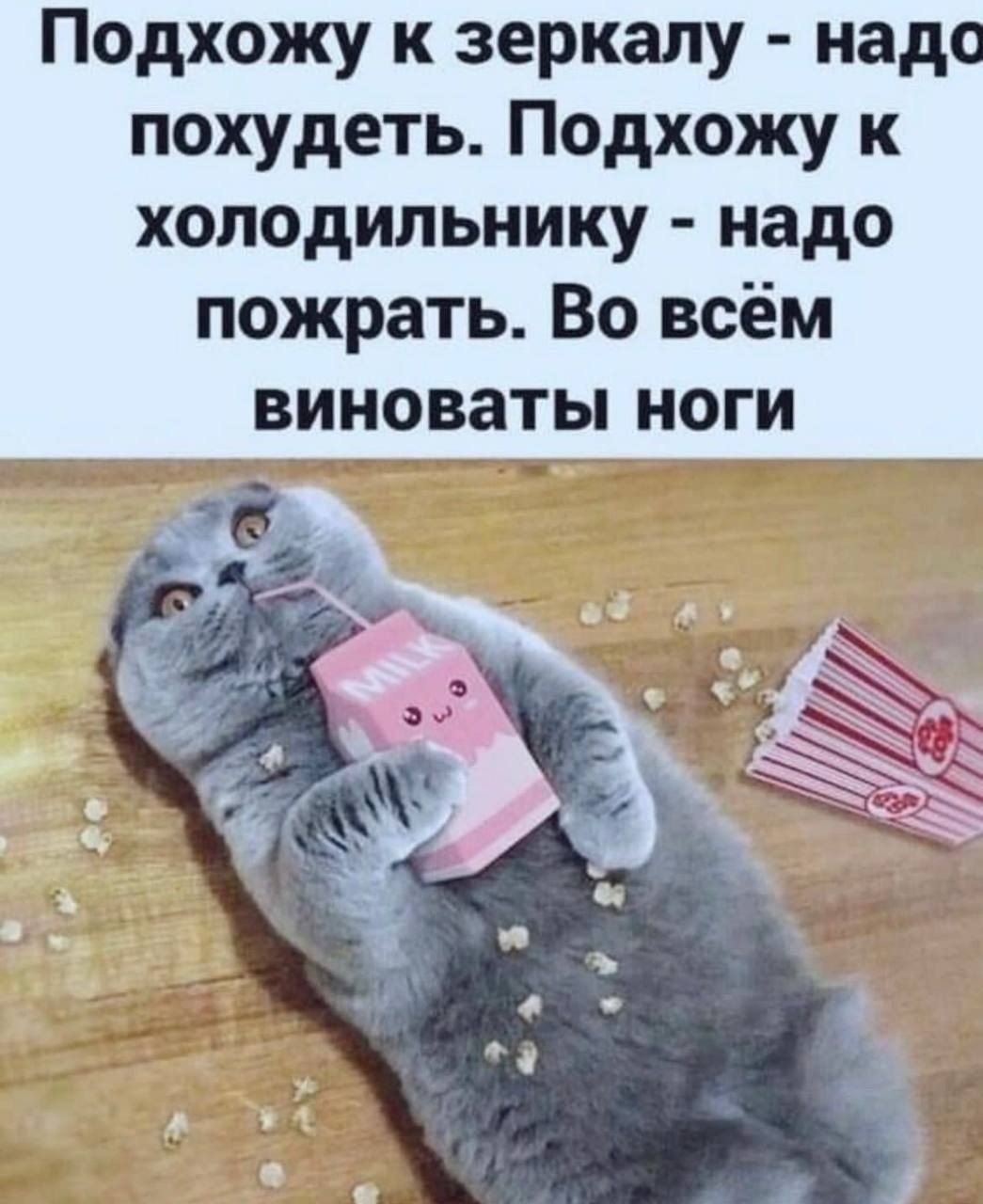 Подхожу к зеркалу надо похудеть Подхожу к холодильнику надо пожрать Во всём виноваты ноги