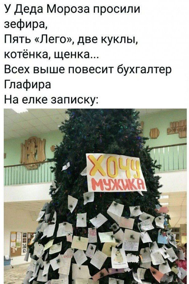 У Деда Мороза просили зефира Пять Лего две куклы котёнка щенка Всех выше повесит бухгалтер Глафира На елке записку