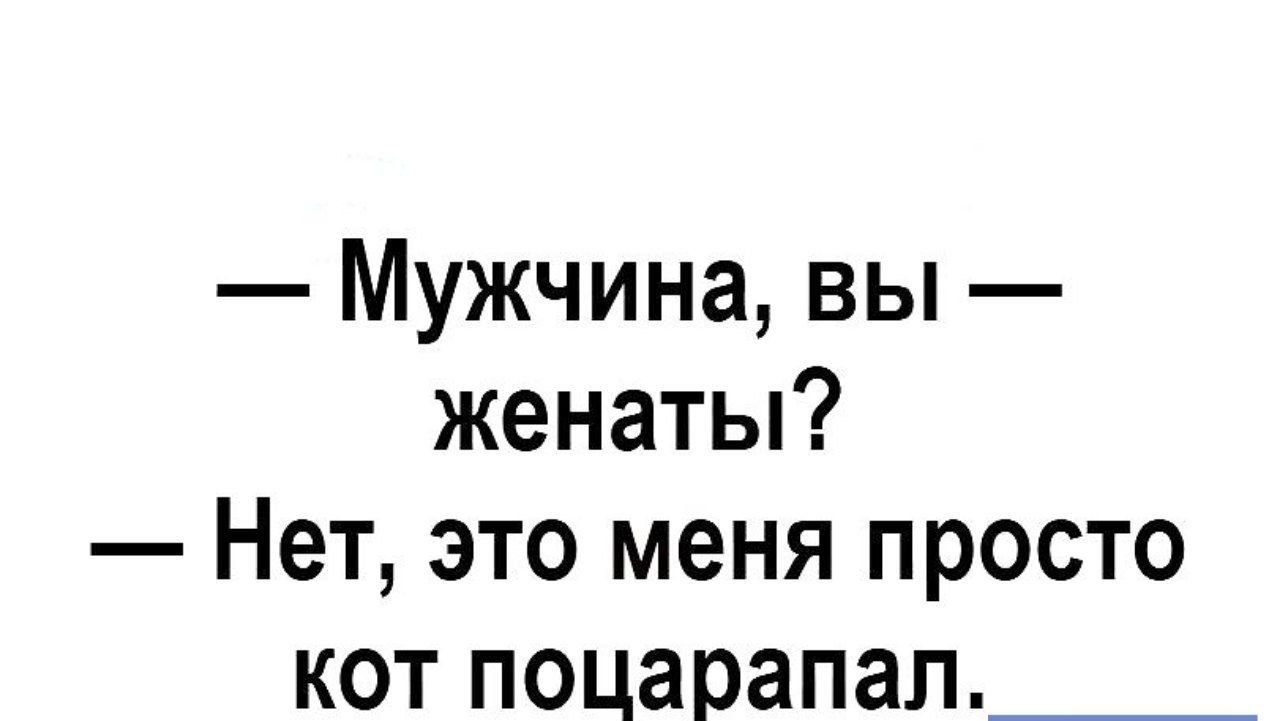 Мужчина вы женаты Нет это меня просто кот поцарапап