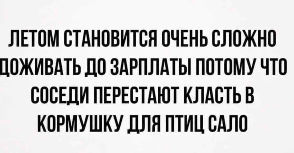 ЛЕТОМ СТАНОВИТСЯ ОЧЕНЬ СЛОЖНО ЦОЖИВАТЬ ЛО ЗАРПЛАТЫ ПОТОМУ ЧТО СОСЕДИ ПЕРЕСТАЮТ КЛАСТЬ В КОРМУШКУ дЛЯ ПТИЦ САЛО