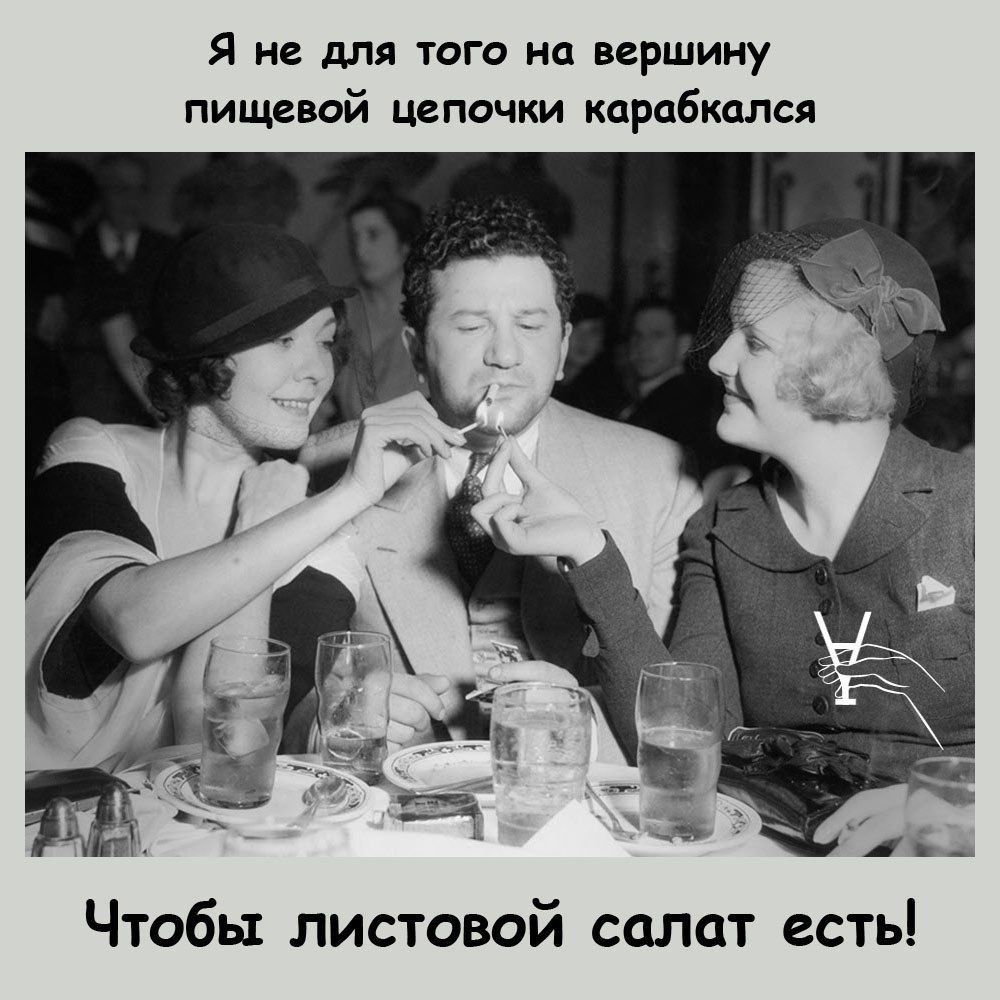 Я и для тиго на вершину пищевой цепочки карабкллся Чтобы листовой салат есть
