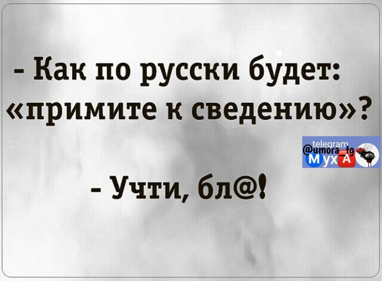 Как по русски будет примите к сведению МА Учти бл