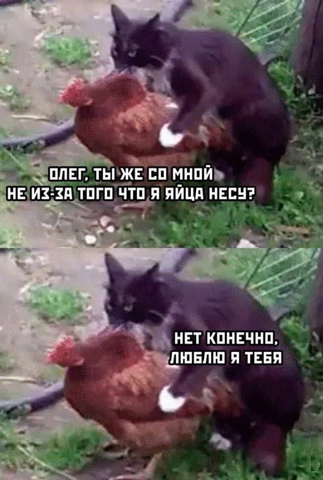 НЕТ КПНЕЧНП ЛЮБЛЮ Я ТЕБЯ