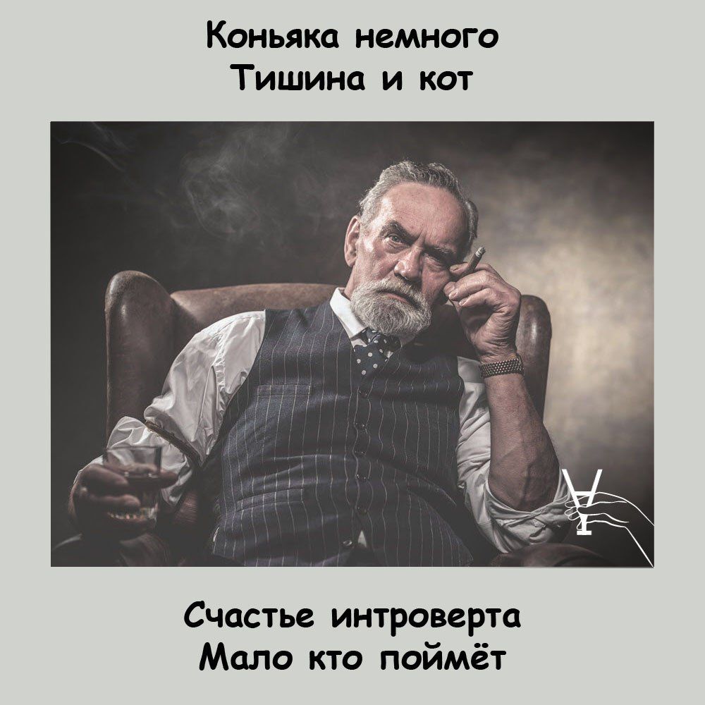 Коньякц немнага Тишина и кот Счастье интроверт Мало кто поймёт