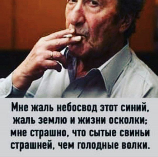 Мне жаль небосвод тп синий жаль землю и жизни осколки ине страшно что сытые свиньи страшней чеи голодные волки