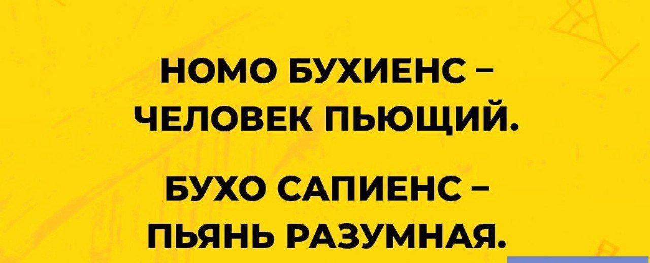 момо вухивнс чвповвк пьющий БУХО САПИЕНС ПЬЯНЬ РАЗУМНАЯ