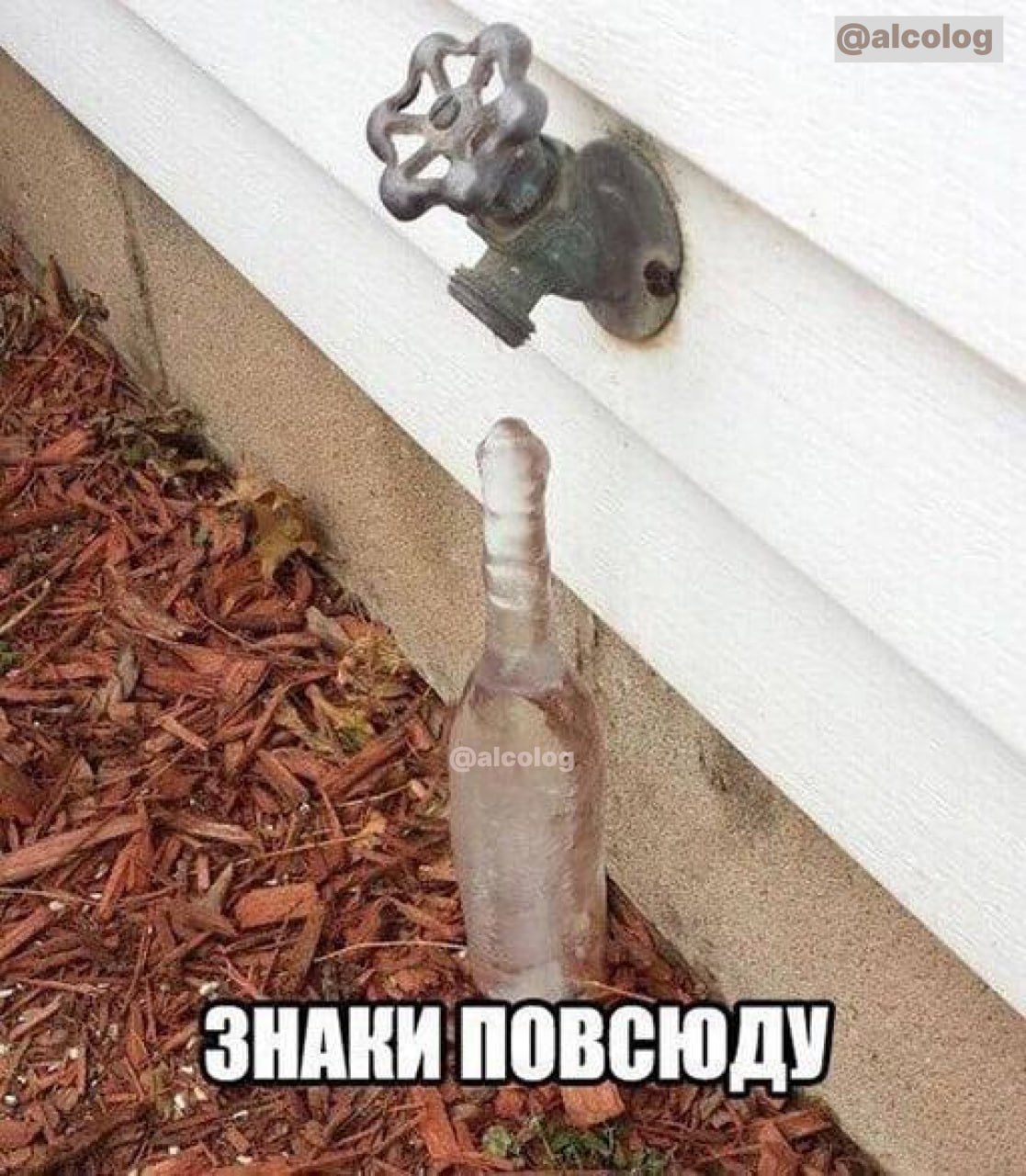 аісоіоэ вы __Знпни нбвеюдчі