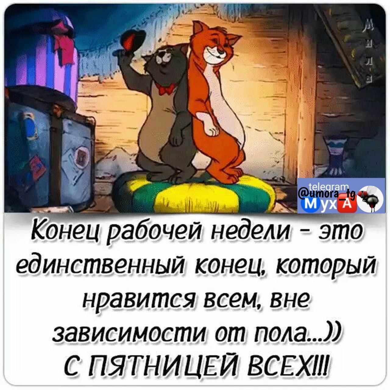 Конец рабочей недели это единственный конец который нравится всем вне зависимости от пола С ПЯТНИЦЕЙ ВСЕХ