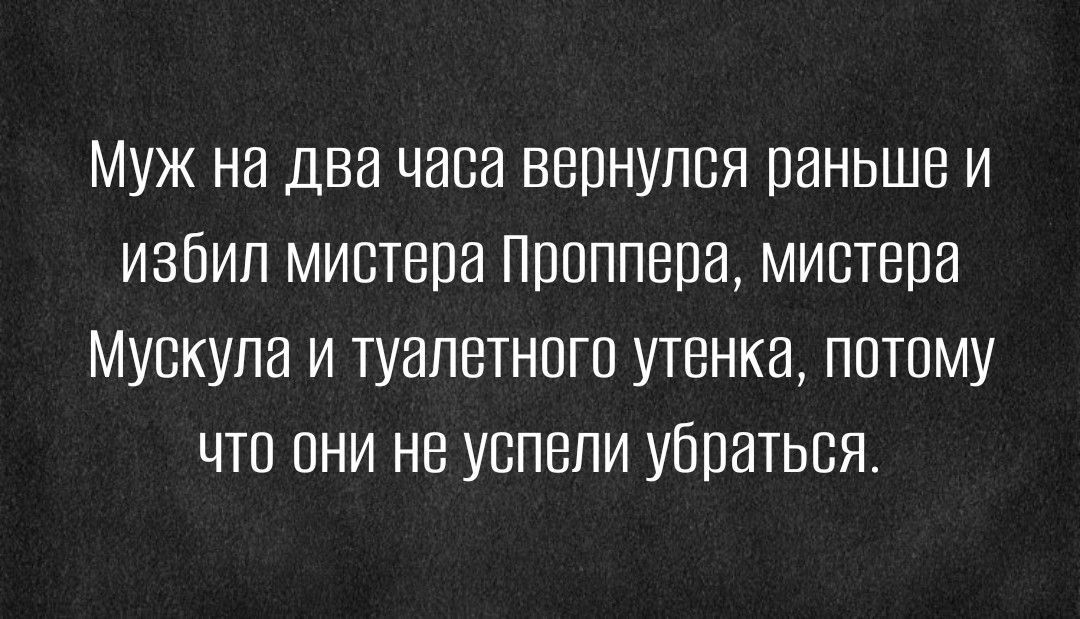 муж на два часа вернулся раньше и избил мистера пшппвра мистера мускупа и туалетного утенка потому что они не успели убраться