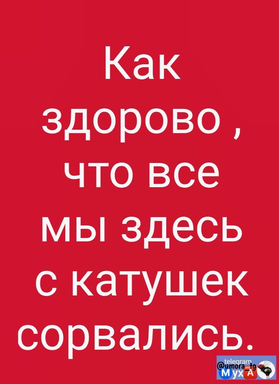 Как здорово что все мы здесь с катушек СОРВЭЛИСЬ