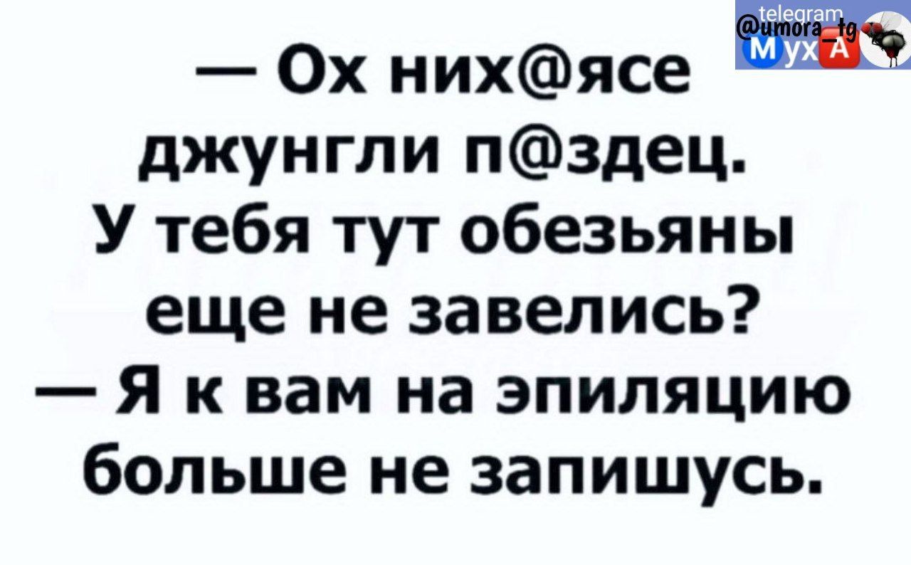 0х нихясе джунгли пздец У тебя тут обезьяны еще не завелись Я к вам на эпиляцию больше не запишусь