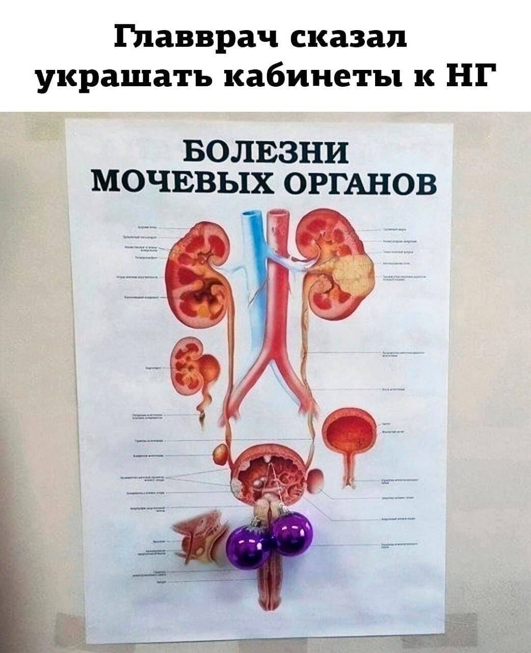 Главврач сказал украшать кабинеты НГ БОЛЕЗНИ МОЧЕВЬХХ ОРГАНОВ