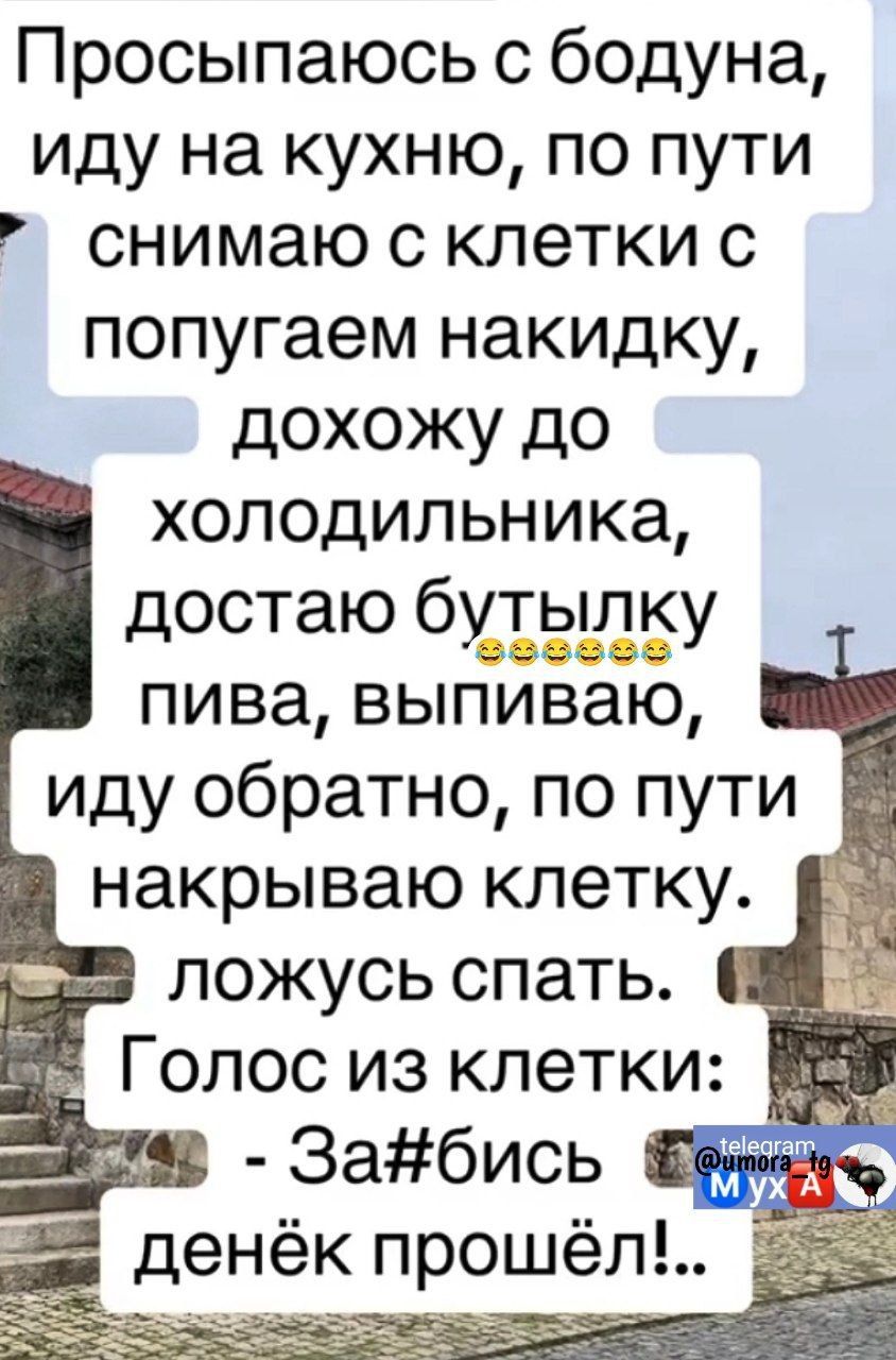 Просыпаюсь с бодуна иду на кухню по пути снимаю с клетки с попугаем накидку дохожу до холодильника достаю 6343991 ку пива вьяпГиваю иду обратно по пути накрываю клетку ложусь спать Голос из клетки Забись Ёнёк прошёл