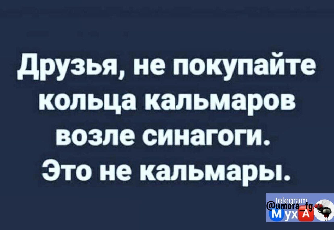 друзья не покупайте кольца кальмаров возле синагоги Это не кальмары