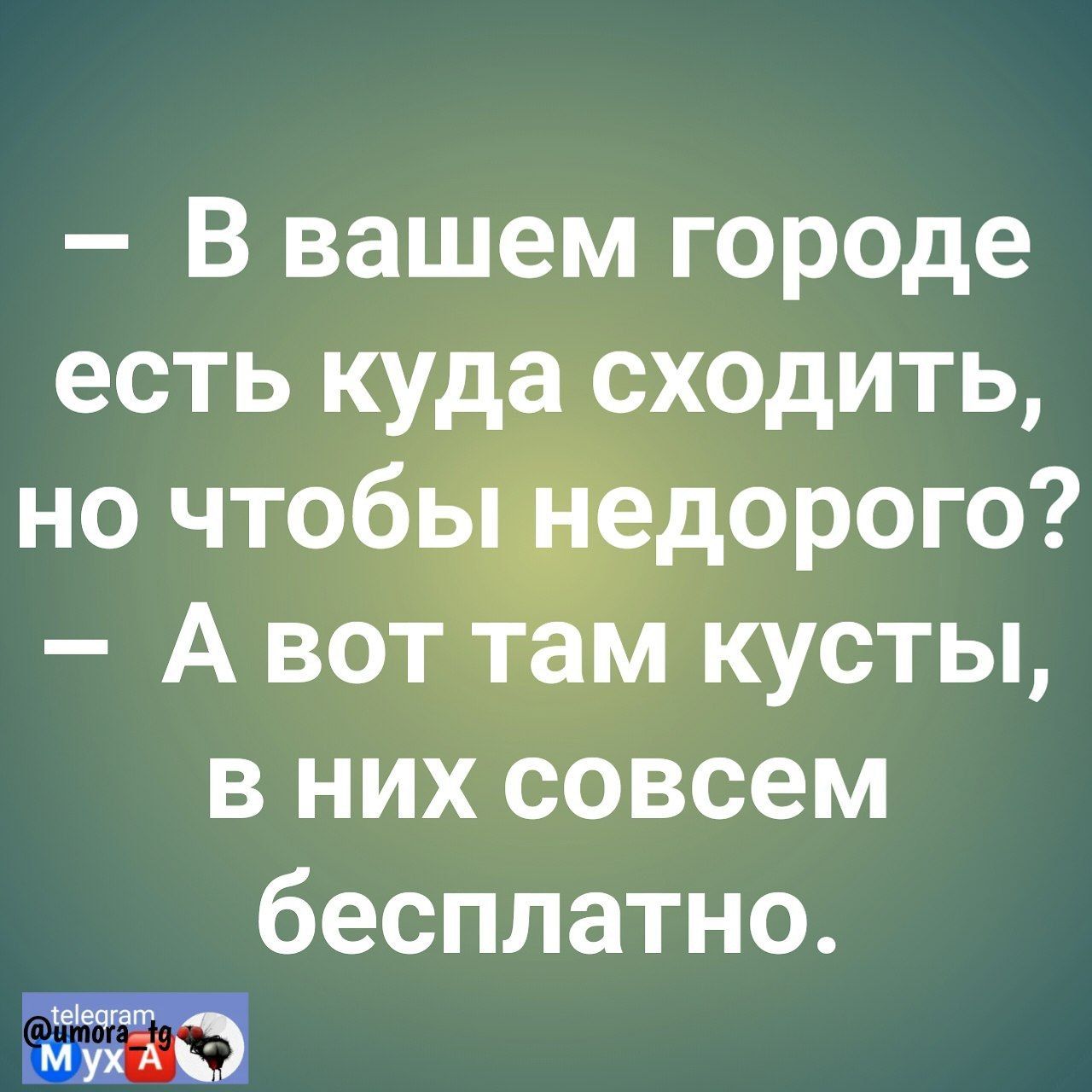 В вашем городе естькидасходитц ночтоб дорого Авот м кусты внихсовсем бесплатно