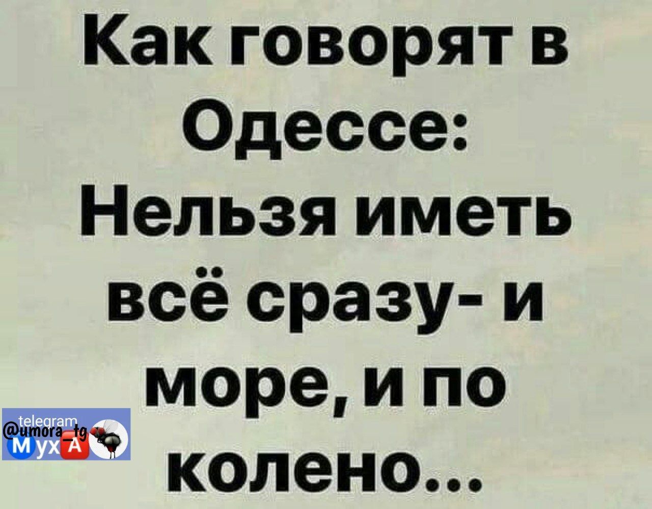 Какговорятв Одессе Нельзя иметь всёсразу и море и по колено