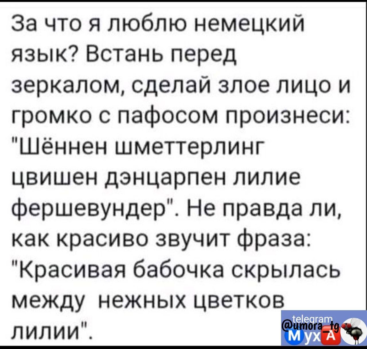 За что я люблю немецкий язык Встань перед зеркалом сделай злое лицо и громко с пафосом произнеси Шённен шметтерпинг цвишен дэнцарпен лилие фершевундер Не правда ли как красиво звучит фраза Красивая бабочка скрылась между нежных цветков шмат