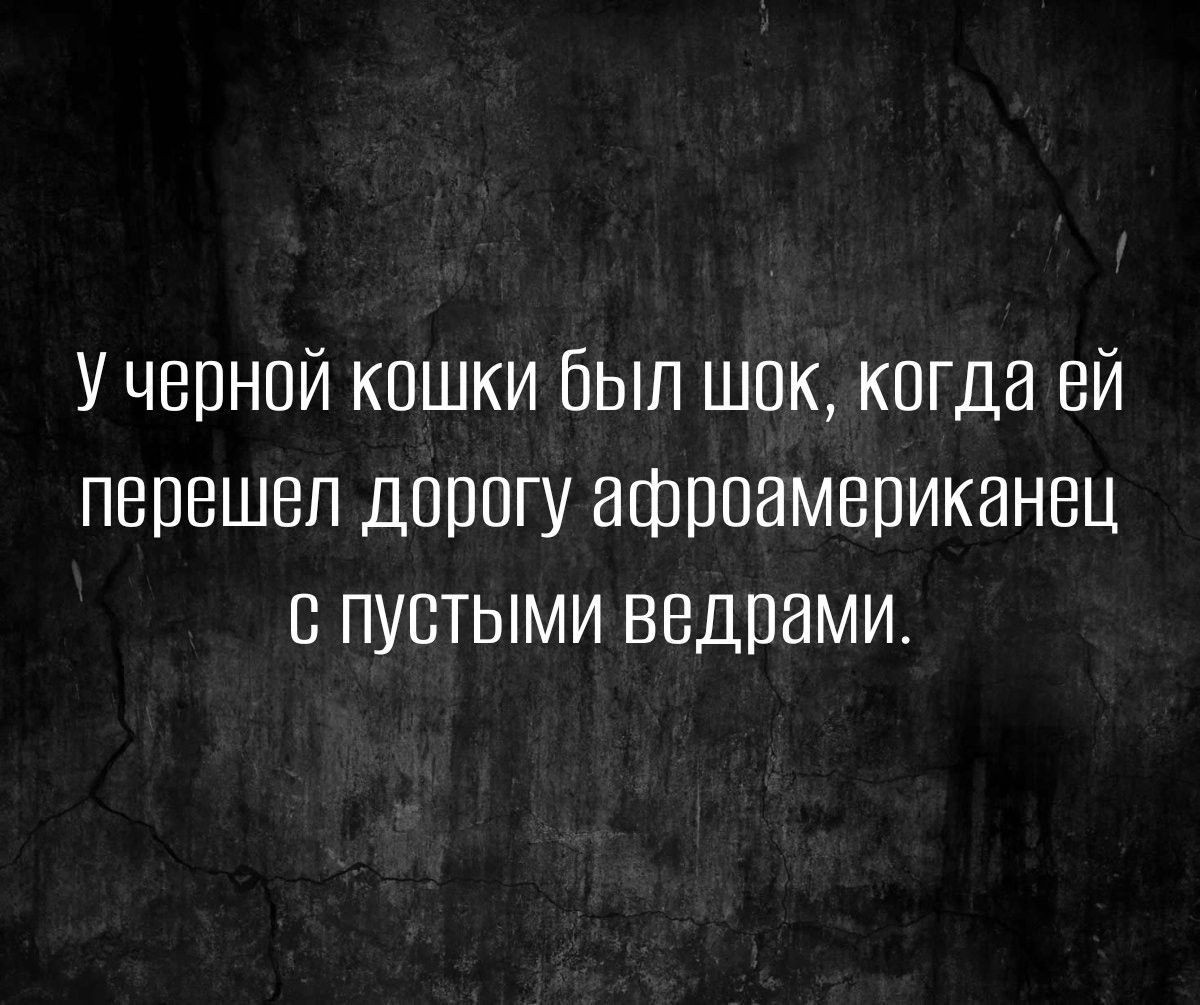 У черной кошки был шок когда ей перешел дррегу афроамериканец с пустыми ведрами