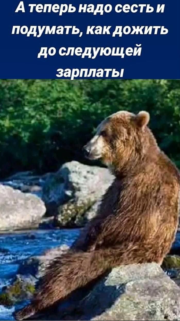 А теперь надо сесть и подумать как дожить до следующей зарплаты
