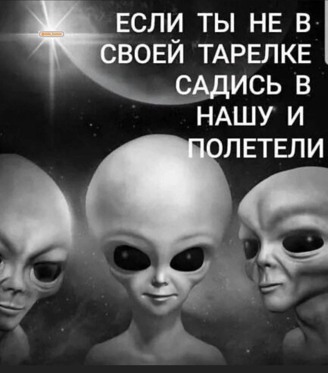 ЕСЛИ ТЫ НЕ В ВОЕЙ ТАРЕПКЕ С_ ИСЬ В НАШУ И