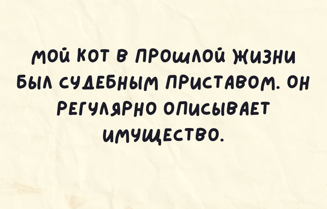 мой кот в прощдогд Жизни вьм счдввным пгистявом он РЕГЧААРНО олисывдет имчщество