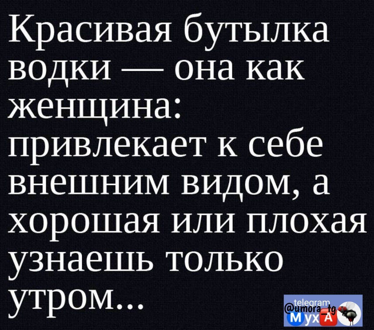 Красивая бутылка водки она как женщина привлекает к себе внешним видом хорошая или плохая узнаешь только утром