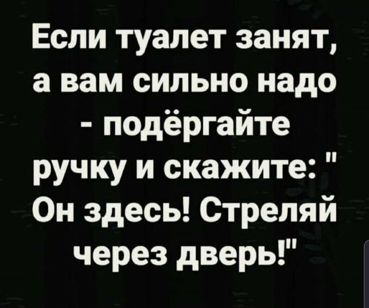 Если туалет занят а вам сильно надо подёргайте ручку и скажите Он здесь Стреляй через дверь