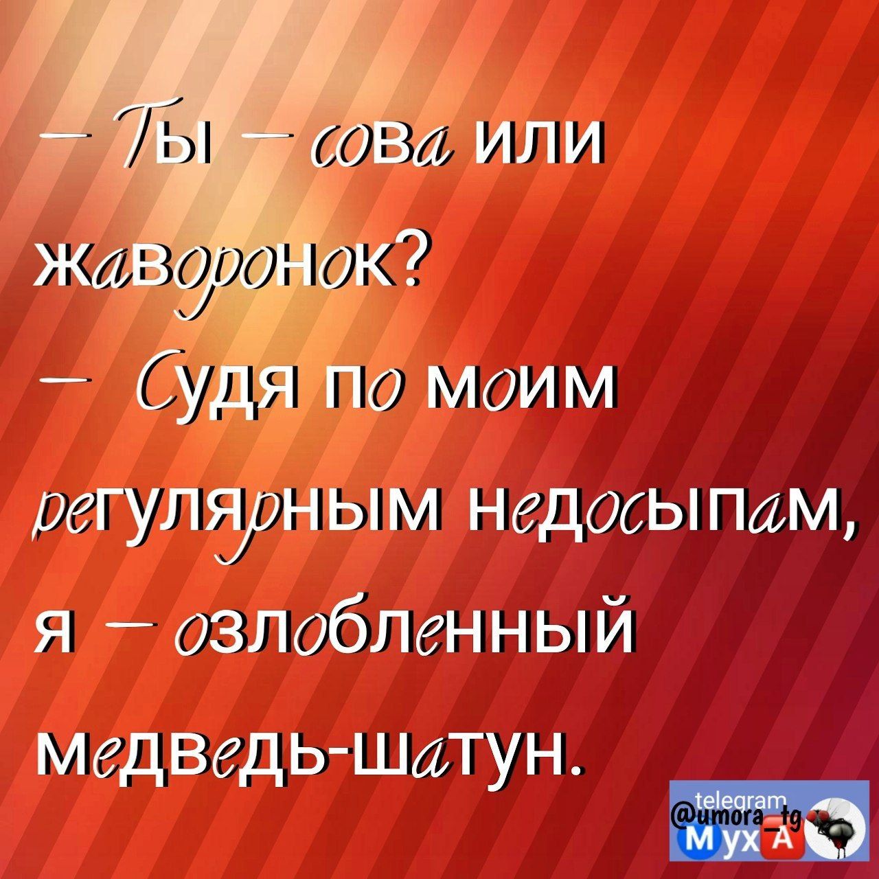 Судя по моим регулдоным недосыпам я озлоблгнный меДВедь штун