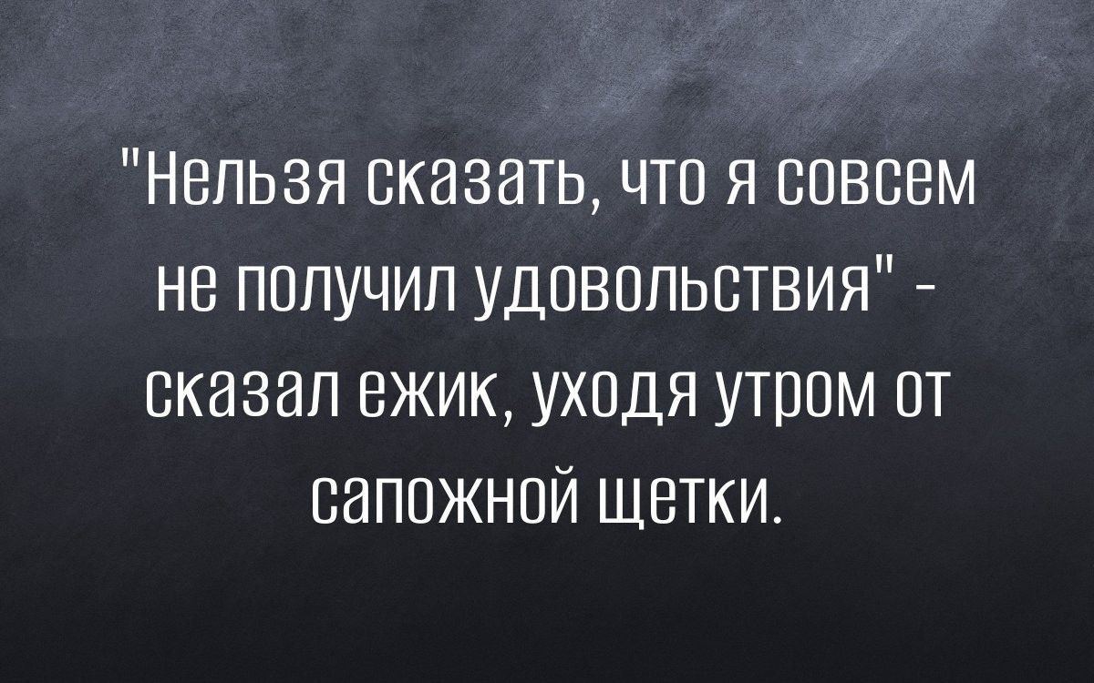 Нельзя сказать что я совсем не получил удовольствия сказал ежик уходя утром от вапожной щетки