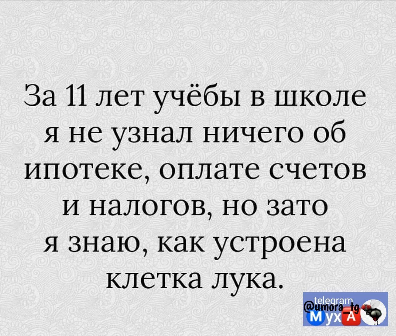 За 11 лет учёбы в школе я не узнал ничего об ипотеке оплате счетов и налогов но зато я знаю как устроена клетка лука