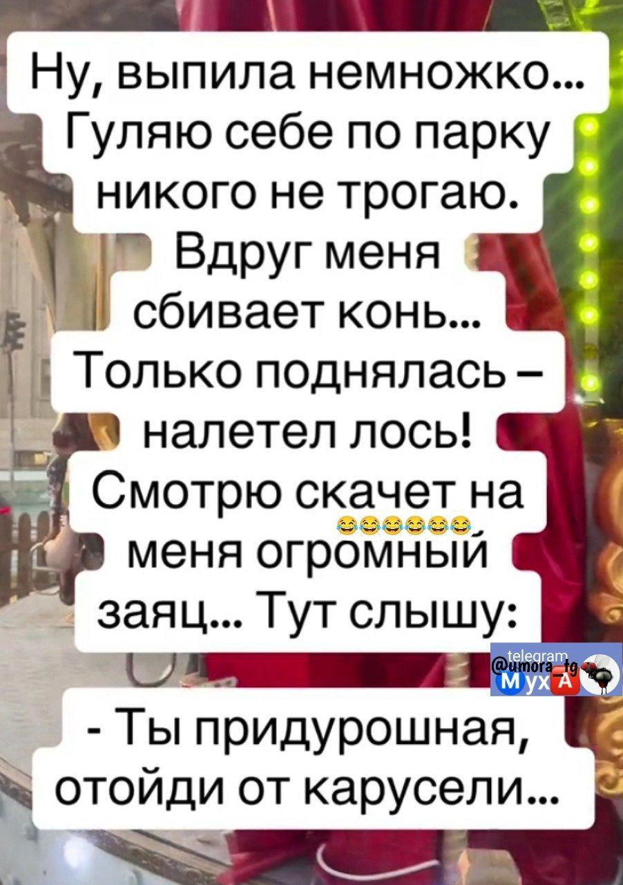 Ну выпила немножко Гуляю себе по парку никого не трогаю ВДРУГ Меня сбивает конь и Только поднялась налетел лось Ты придурошная отойди от карусели