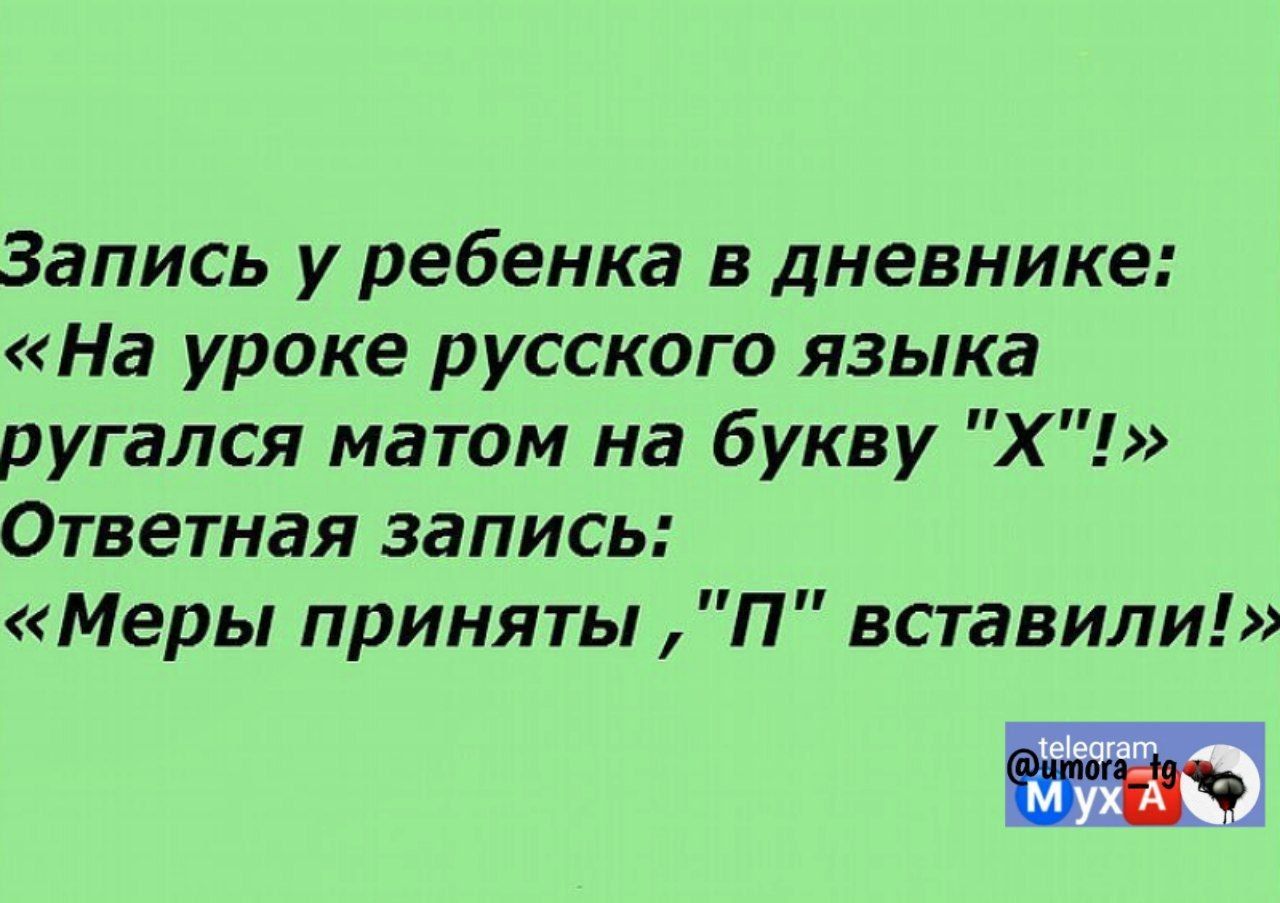 Запись у ребенка в дневнике На уроке русского языка ругался матом на букву Х Ответная запись Меры приняты П вставили ЕЖ