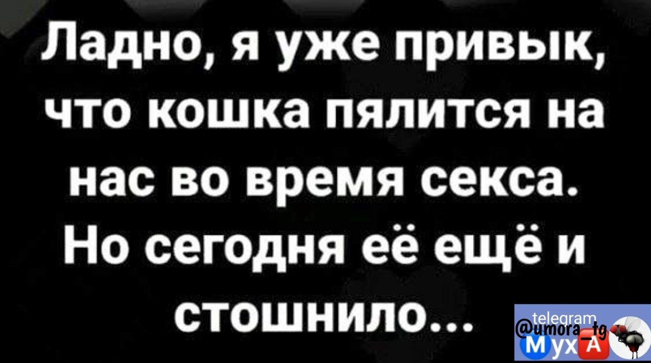 Ладно я уже привык ЧТО кошка ПЯПИТСЯ на нас во время секса Но сегодня её ещё и СТОШНИЛО