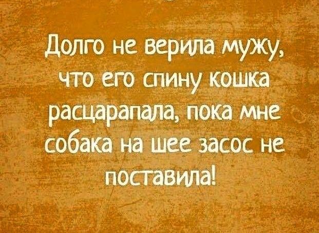 Долго не верила мужу что его шину кошка рацшрапала пока мне собака на шее засос не поставит