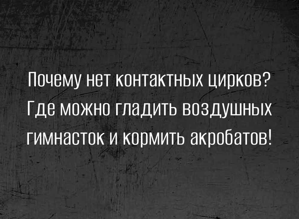 Почему нет контактных циоков Где можно гладить воздушных гимнасток и кормить акробатов