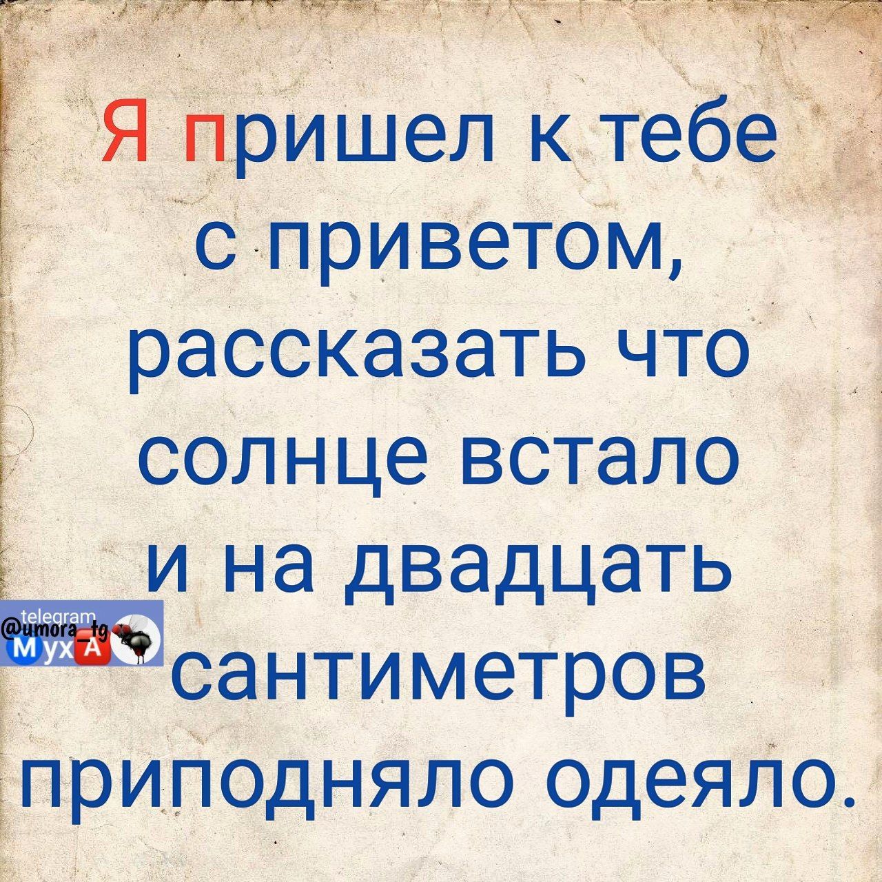 5931 Я пришел к те с приветом рассказать что солнце встало и на двадцать сантиметров ЕпрИпэдняло одеяЛо