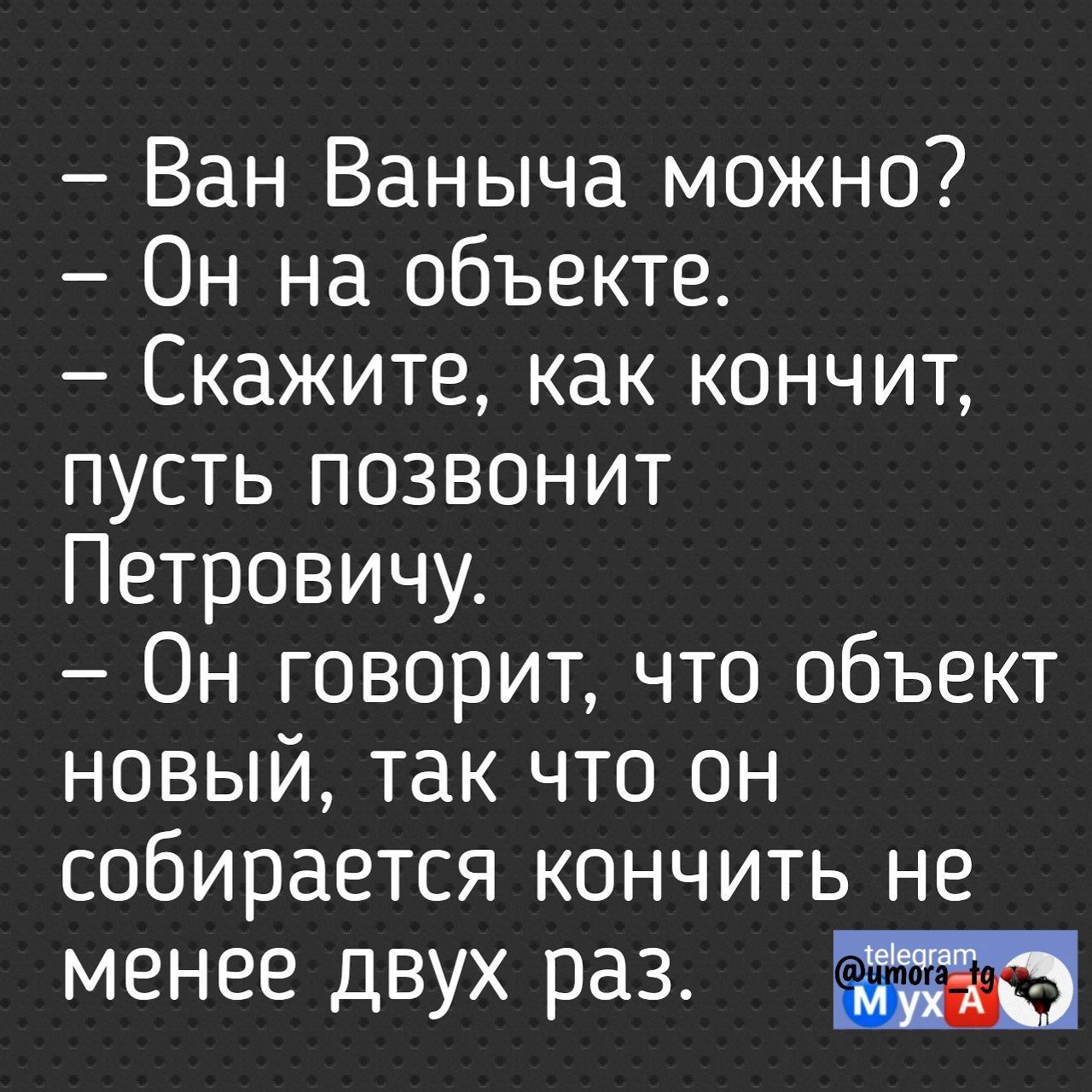 Ван Ваныча можно Он на объекте Скажите как кончит пусть позвонит Петровичу Он говорит что объект новый так что он собирается кончить не менее двух раз