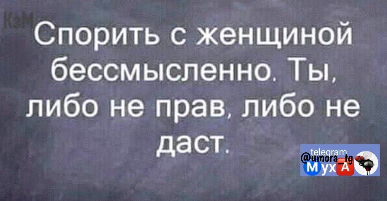 Спорить с женщиной бессмысленно Ты либо не прав либо не аст д