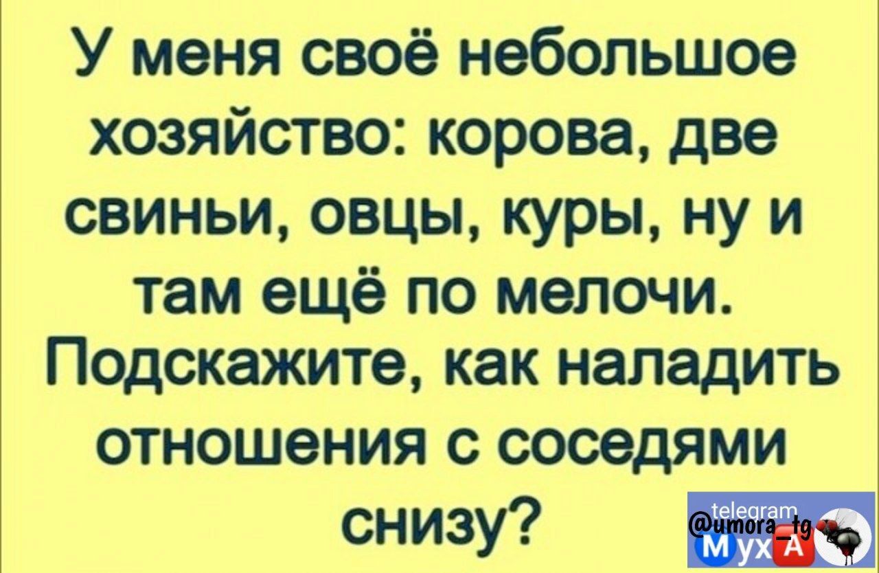 У меня своё небольшое хозяйство корова две свиньи овцы куры ну и там ещё по мелочи Подскажите как наладить отношения с соседями