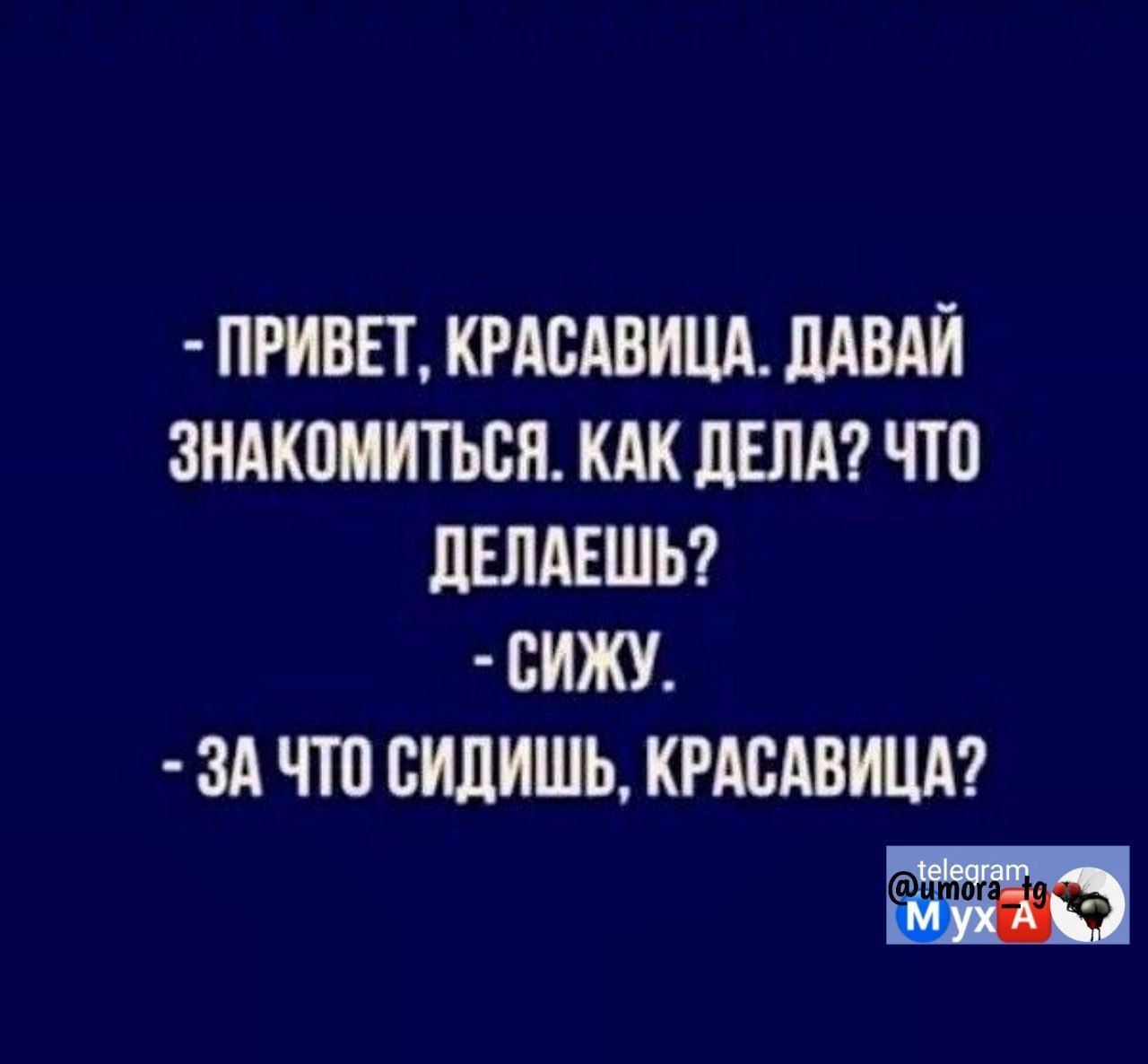ПРИВЕТ КРАСАВИЦА МБШ ЗНАКОМИТЪВЯ КАК ЛЕЛА ЧТО ЛЕЛАЕШЬ БИЖУ ЗА ЧШ ЛИШЬ КРАСАВИЦА