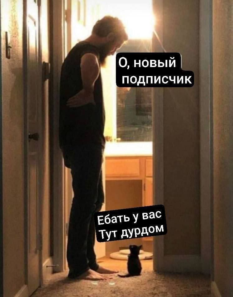 0 новый подписчик